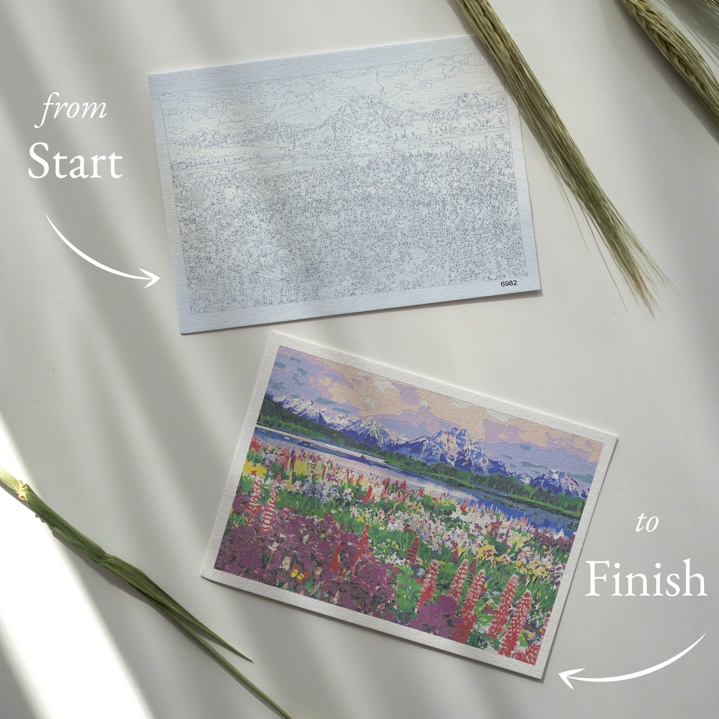 Mountain Spring Paint-by-Numbers Kit